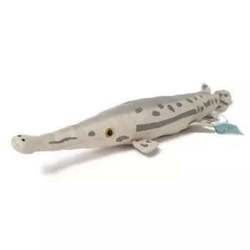 TST Advance Exciting Illustrated Guide Longnose Gar Plush Toy 9944