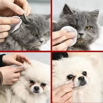 Туалет для кошек Напальчники Влажные салфетки Удаление ушной серы Наполнитель для кошачьего туалета Ушные клещи Уход за глазами домашних животных Удаление слезных пятен Чистящие салфетки для домашних животных