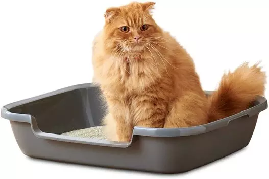 Туалет для пожилых кошек Kitty and Puppy Lotus L Туалет для кошек и щенков для котят и пожилых кошек с короткой высотой входа Интегрированная молдинговая пластина для кошек Ширина 61 серый