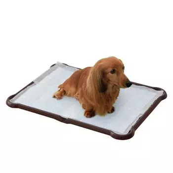 Туалетная бумага для собак Iris Ohyama, широкий, коричневый, P-SPTW