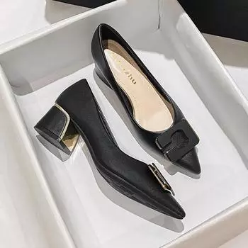 Туфли больших размеров для женщин Туфли-лодочки на толстом каблуке Весна Новая мода OL с острым носком Туфли из кожи на высоком каблуке 35 бежевый