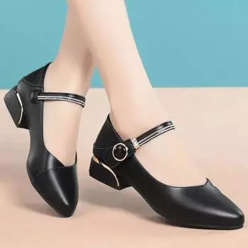 Туфли Женские Базовые Женские Туфли на Высоком Каблуке Классика Офисные Туфли Женские Остроносые на Низком Каблуке Неглубокие Большого Размера Женские Туфли Zapatos 35