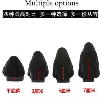 Туфли женские весна и осень 2025 новые рабочие туфли с заостренным носком на среднем каблуке толстые одинарные туфли женские французские туфли на низком высоком каблуке 34