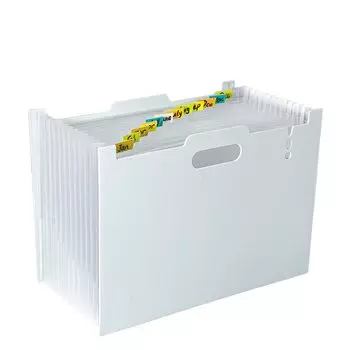 Tumosando Document Horizontal A4 Thicked Foam 13 Bellows Separation Label Accordion Large Document Telescopic Document Storage Stand, Vertical, PP,