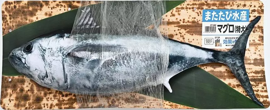 Тунец Matatabi Fisheries (Очень большой)