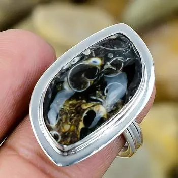 Turritella Fossil Agate Solid 925 Sterling Silver Ring s.Ad SR1554-87