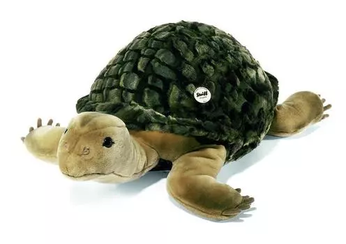 Turtle Solo 70cm Plush Toy