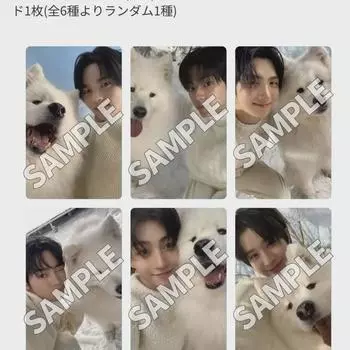 Туры Wevers Япония Специальный пакет