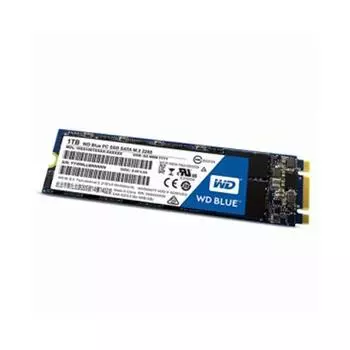 Твердотельный накопитель WD Blue SA510 1 ТБ SATA M.2 SSD Скорость последовательного чтения до 560 МБ/с 400 ТБ для 1TB разноцветный