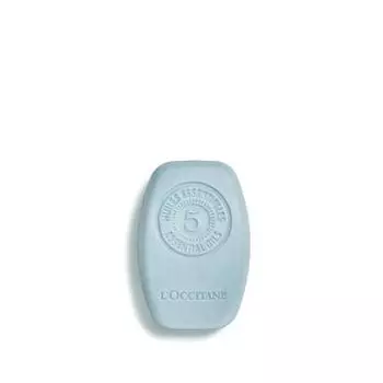Твердый шампунь L Occitane en Provence Aromacologa 60 g 300 мл