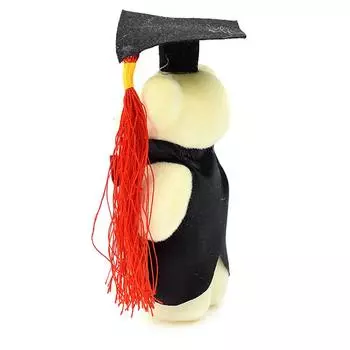 Творческий материал медвежьего букета выпускного сезона с пузырьковым мишкой