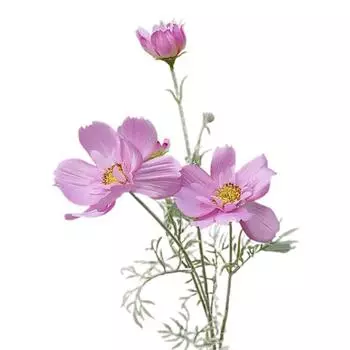 Творческое искусственное растение, широкое применение, яркое, без увядания 1Pc светло-розовый