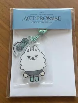 TXT SOOBIN ACT : PROMISE ENCORE в ЯПОНИИ Официальный MD PPULBATU KEY RING CHOI YONGMEONG Limited Новый