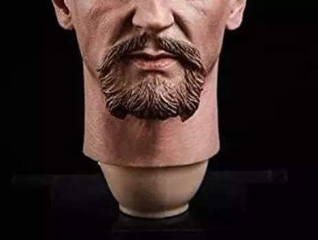 TYDTTOYS TYDT05 Мужская голова для масштабных экшн-фигурок и одежды Не [TOYBARJAPAN] Европейская/Американская 1/6 (Тело включено)