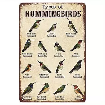Types of hummingbird vintage metal signs, hummingbird metal signs, gifts for hummingbird lovers, hummingbird vintage чёрный