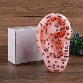 Учебное пособие по акупунктуре человеческого уха, мягкий ПВХ, высокомоделируемый инструмент для практики массажа