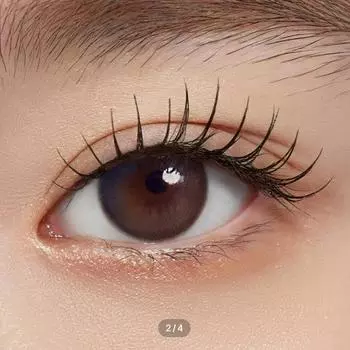 Учтивый Один День Marsbrick -0.50