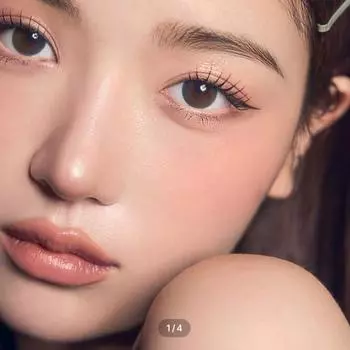 Учтивый Один День Земля Зеленый -1.00