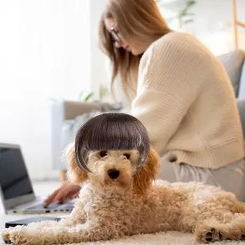 Удобный парик для домашних животных, праздничный реквизит, костюмный парик, волосы для маленьких собак, тематическое мероприятие, аксессуары для косплея для домашних животных, головные уборы C