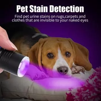 УФ-фонарик, светодиодный ультрафиолетовый фонарь 395/365 нм, масштабируемый мини-ультрафиолетовый фонарь, инспекционная лампа, детектор пятен мочи домашних животных, инструменты
