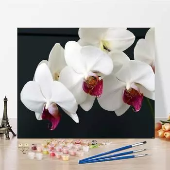 Украшение дома DIY Картина по номерам Художественные цифры Картина маслом Цифровая картина маслом Холст 40x50cm no frame