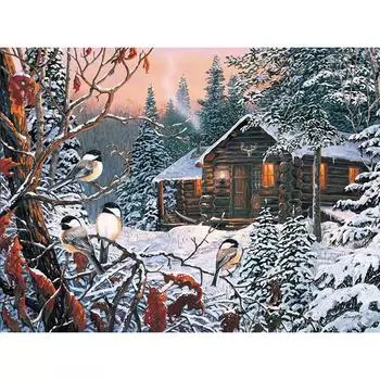 Украшение дома «Маленькие попугаи и снег» DIY 5D Алмазная вышивка Наборы для вышивки крестом Живописный снежный пейзаж 20X30CM