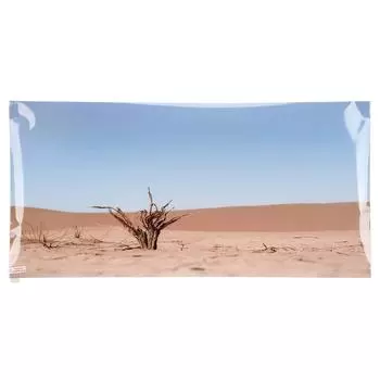 Украшение фона аквариума с изображением сухих ветвей в пустыне Наклейка на обои для аквариума 61x41 см /