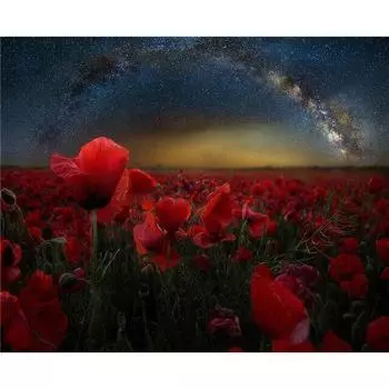 Украшение кухни Алмазная вышивка Фрукты Красное вино Домашний подарок DIY Decoratif Craft 20X30CM