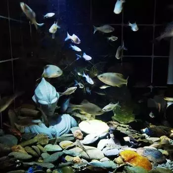 Украшения для аквариума Ландшафтные украшения Аквариумная трава для аквариума Тонущее дно Микроландшафт Изделия из цемента Украшения