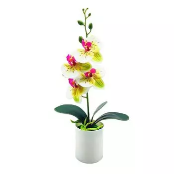 Украшения фаленопсис многоцелевое моделирование инновационное яркое веселье орхидея бонсай ручной работы
