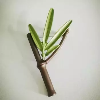 Украшения из растений Ретро Маленькая бамбуковая брошь Популярная бижутерия Брошь из сплава для корсажа зелёный