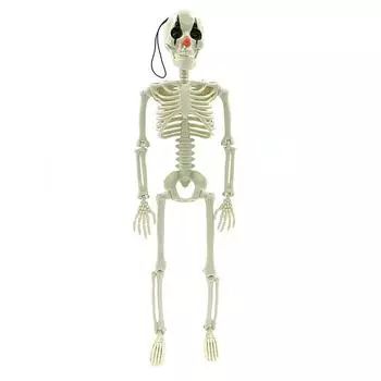 Украшения на Хэллоуин Аксессуары для вечеринок Ликвидация Костюм Украшения Фестиваль на открытом воздухе Маски Призрачного Лица на Хэллоуин