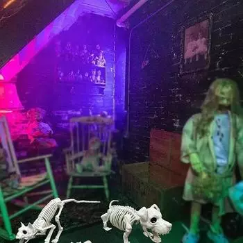 Украшения на Хэллоуин Скелет Украшения Имитация Скелета Животного Дома Летучие Мыши Украшения Scor S0S5 C-1pcs