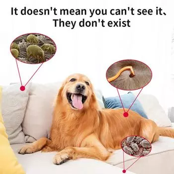 Ультразвуковой отпугиватель вшей, блох, клещей и вредителей с USB-зарядкой для кошек и собак белый