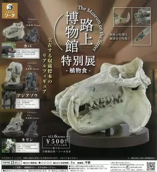 Уличный музей Специальная выставка Растительная еда 6 видов Gacha Gacha Капсула Игрушка [Набор (Полный Полный)]