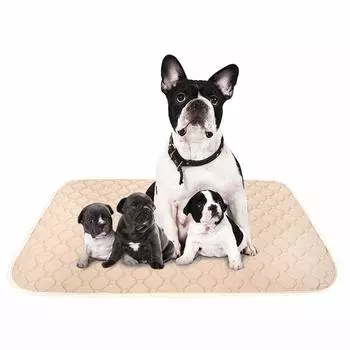 ULIGOTA Pet Моющийся коврик для туалета кошек и домашних животных Быстрый Большой Идеально подходит для нескольких домашних животных Набор простыней, собак, подстилка, сушка, моющийся, полиэстер, бежевый