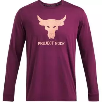Under Armour Project Rock Logo Print Outdoor Casual Sports Crew Neck Long Sleeve T-Shirt Men Tops Gemini-Purple 1374847-505 XL
