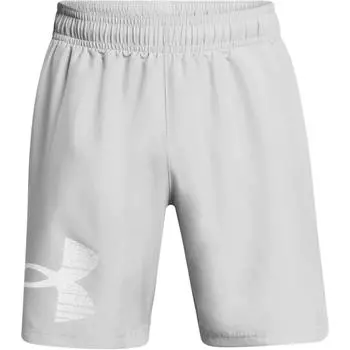Under Armour Woven Series UA Tech Graphic Shorts Men Shorts Gray 1377139-011 XL
