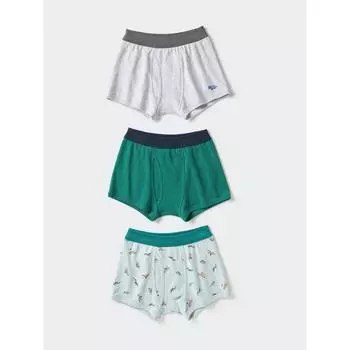Uniqlo Boys Boxer Brief 3p Dinosaur 51 GREEN/KIDS 110