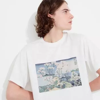 UNIQLO JAPAN Hokusai Remix UT Графическая футболка с короткими рукавами, стандартный крой