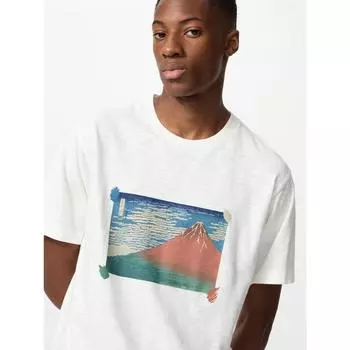 Uniqlo Japan Ukiyo E музей искусств Бостон Ют 01 OFF WHITE/S