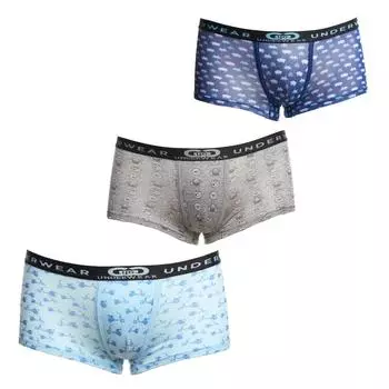 Упаковка из 6 трусов-боксеров LPG1008 из дышащей ткани с анатомическим кроем спереди для мальчиков 4 AOS разноцветный