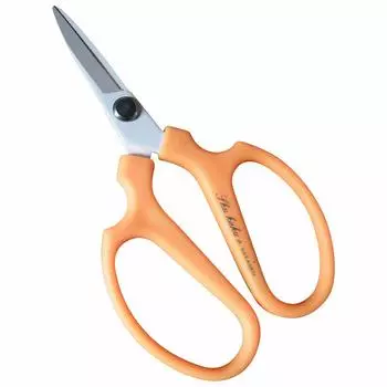 Урожай Король Апельсин