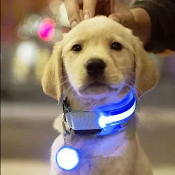 USB Glowing Dog Collar Adjustable Loss Prevention LED Collar Luminous Safety Collar Cat S синий