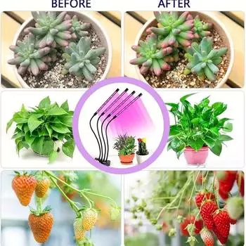 USB LED Grow Light Timed Full Spectrum For Plants Tent Greenhouse Hydroponics Growing System 9 Dimmable Flower Clip Phyto Lamp