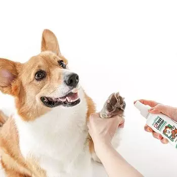 Успокаивающее очищающее средство для ног Laughing Charlie Dog, корейский шампунь для домашних животных