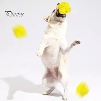 Успокаивающий мяч для щенков Mellow Dog, жевательная игрушка, успокаивающий мяч для снятия беспокойства, интерактивная игрушка для собак E белый