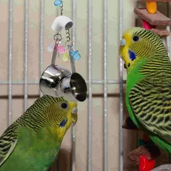 Устойчивый к укусам попугай из нержавеющей стали, игрушка для укусов, пластиковый попугай, шлифовка, качающаяся подставка для обучения random color