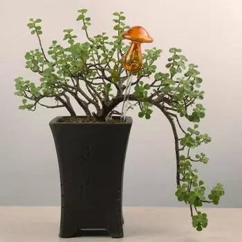 Устройство для полива, большая емкость, очаровательная грибная форма, универсальная лампа для полива растений, товары для дома жёлтый