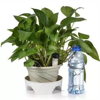 Устройство для самостоятельного полива растений, автоматический полив, колышек, самокапельное орошение растений, капельница с медленным высвобождением воды для полива растений